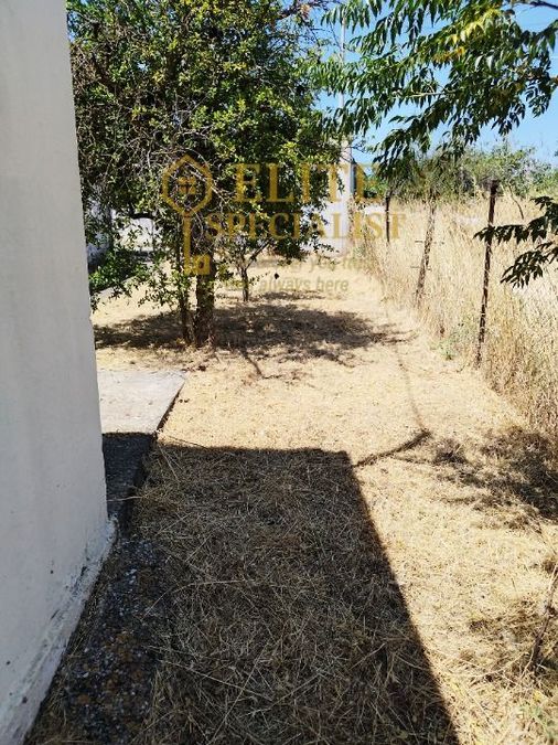 Photo 322445822