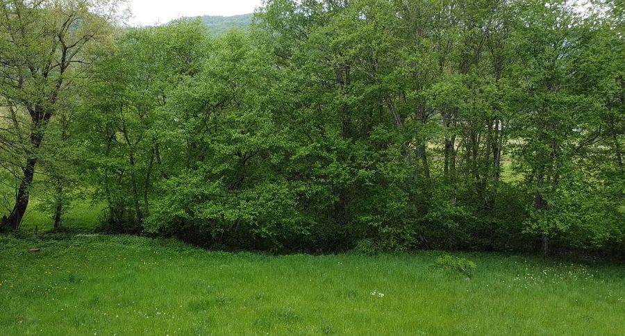 Land Plots, Drijenak, Kolašin 4