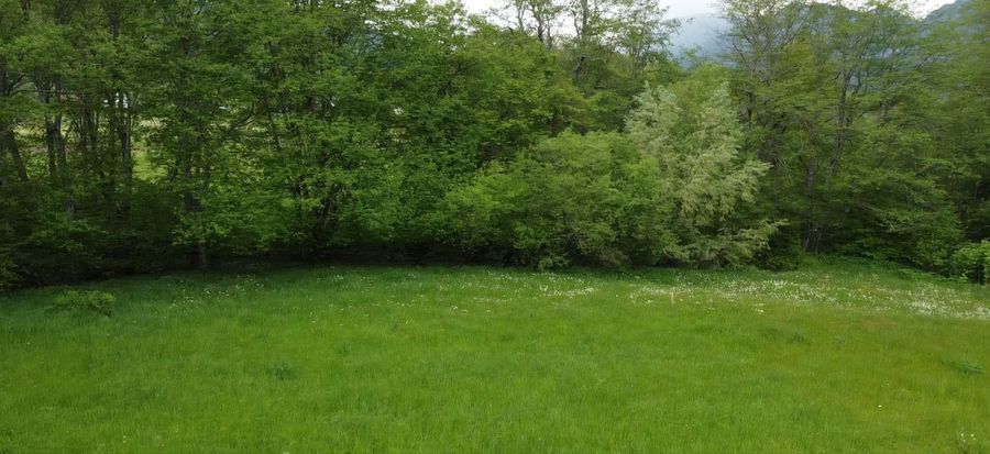 Land Plots, Drijenak, Kolašin 5
