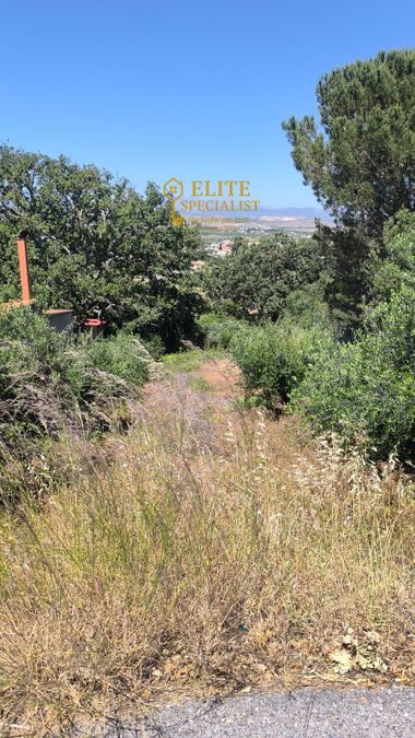 Photo 323088155