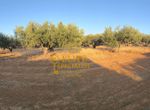 Photo 323091494