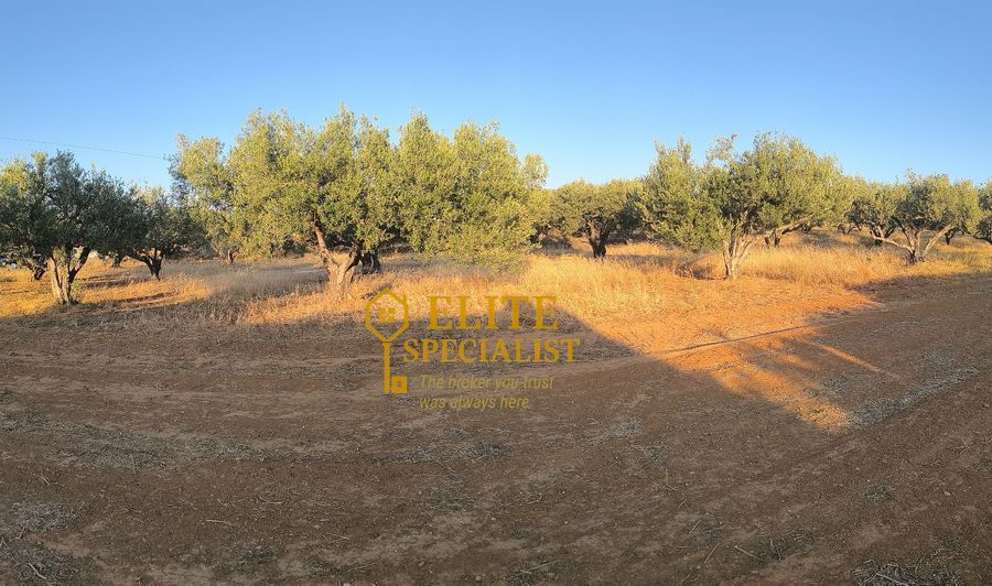 Photo 323091494