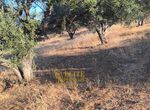 Photo 323091497