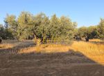 Photo 323091527