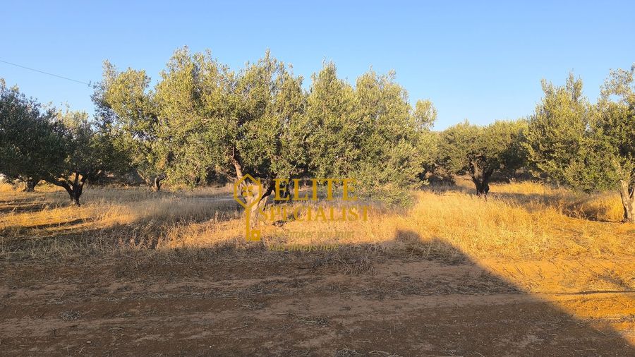 Photo 323091527