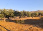 Photo 323091548