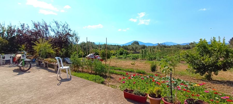 Photo 323238632