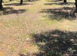 Photo 323381708
