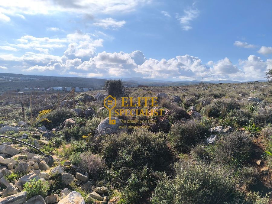 Photo 323412422