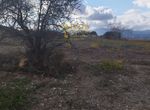 Photo 323432843