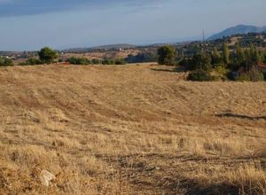Άλλο είδος γης προς πώληση Κ. Καπανδριτίου Καπανδρίτι 35.912 τ.μ.