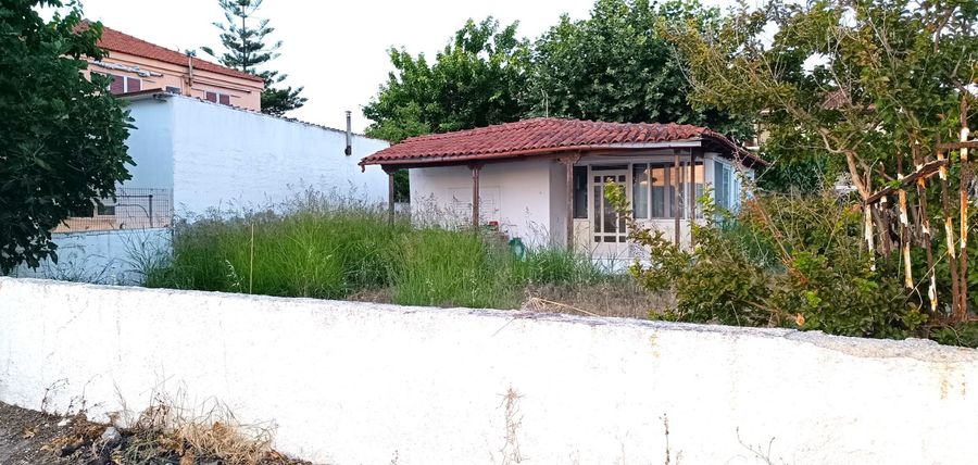 Photo 323611598
