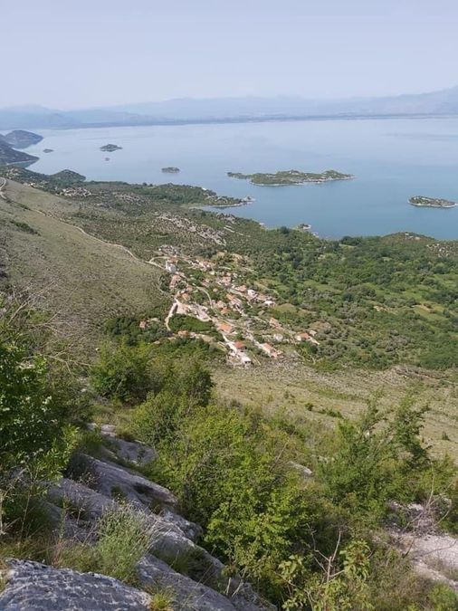 Fotografija 324040088