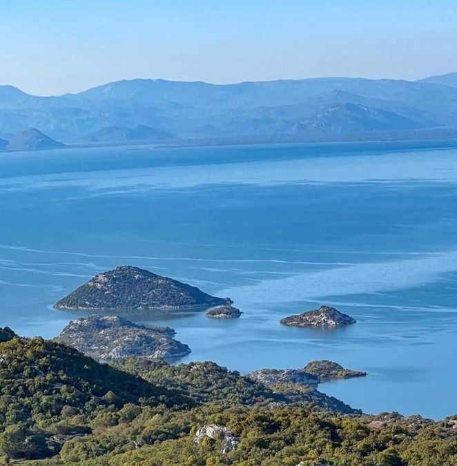 Fotografija 324040094