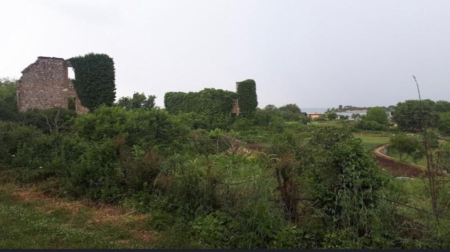 Fotografija 324040097