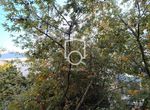 Photo 324071282