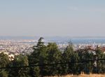 Photo 324181631