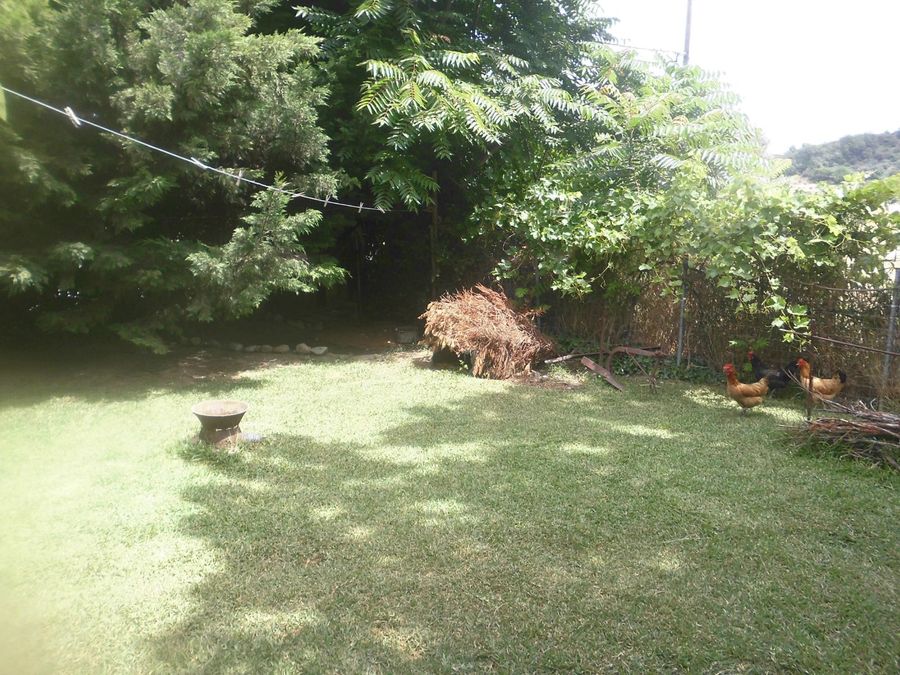 Photo 324213209