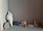 Photo 324284117