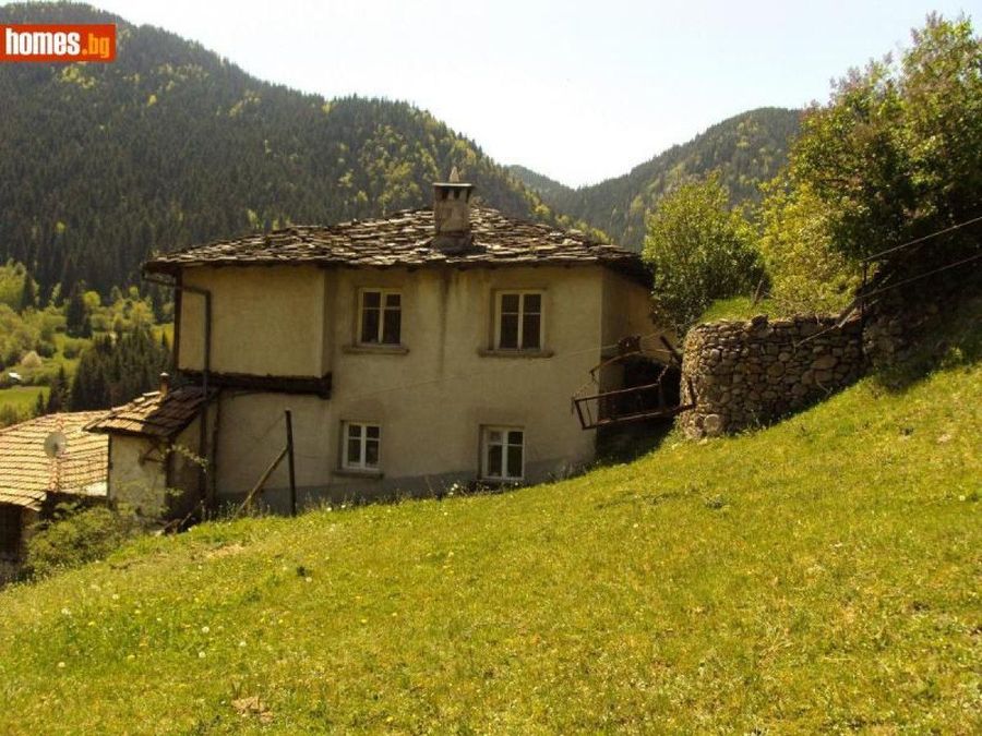 Снимка 324360461