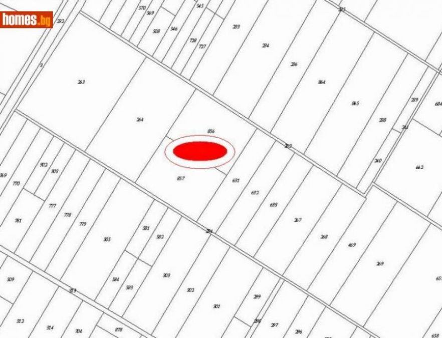 Снимка 324360464