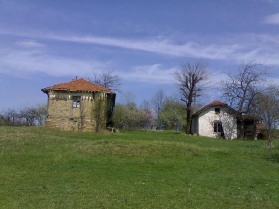 Снимка 324360479