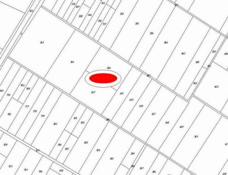 Снимка 324360482