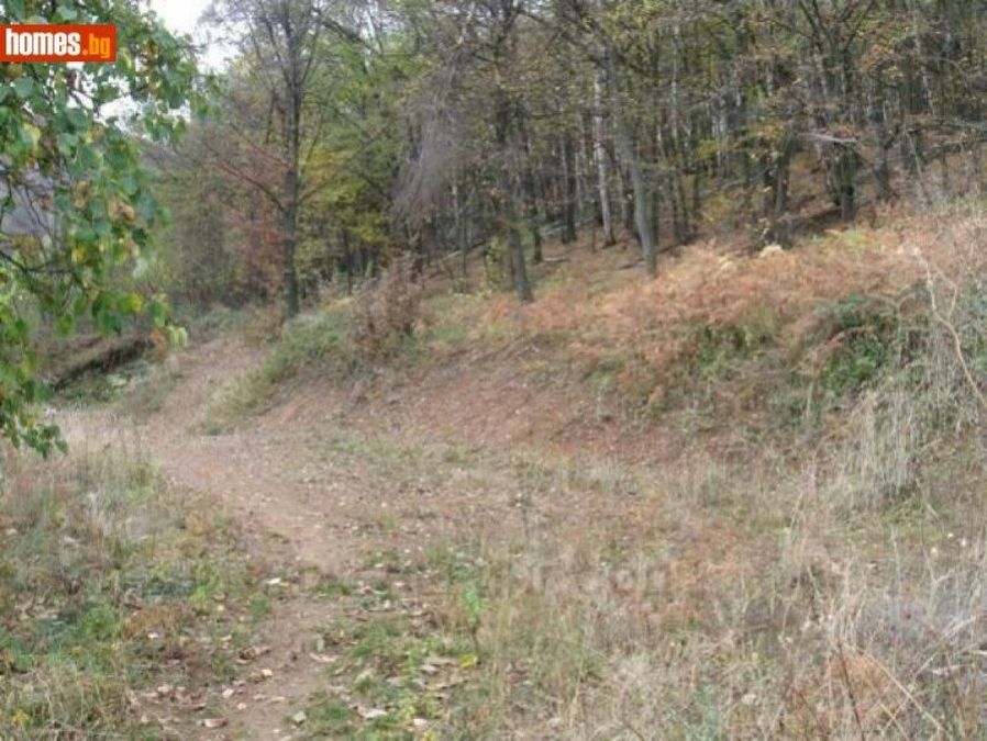 Снимка 324360512