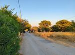 Photo 324448946