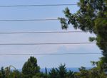 Photo 324787883