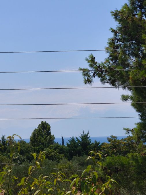 Photo 324787883
