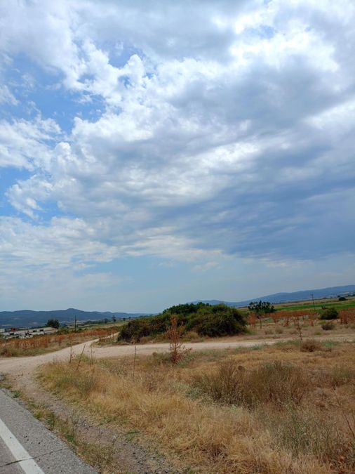 Photo 324903038