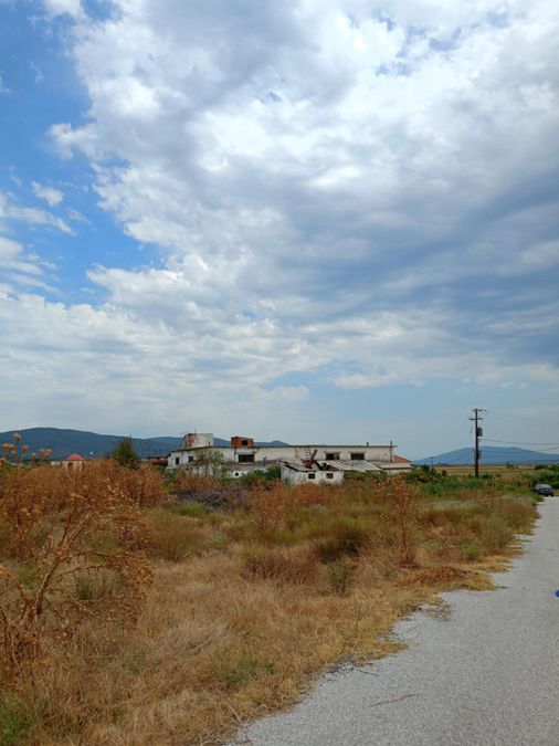 Photo 324903041