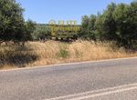 Photo 324924938