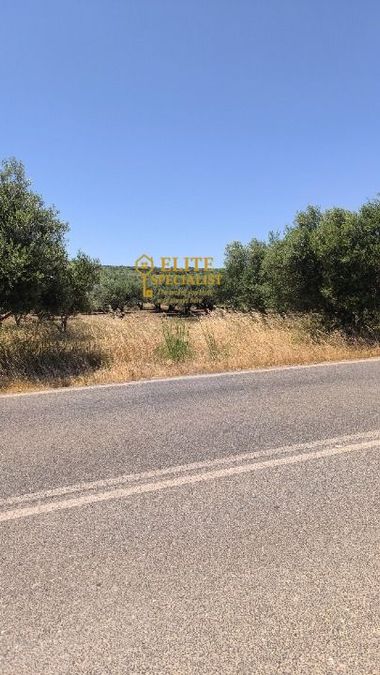 Photo 324924938