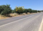 Photo 324924944