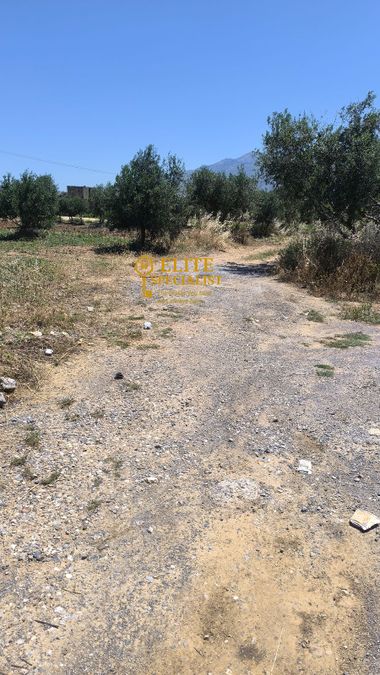 Photo 324924947