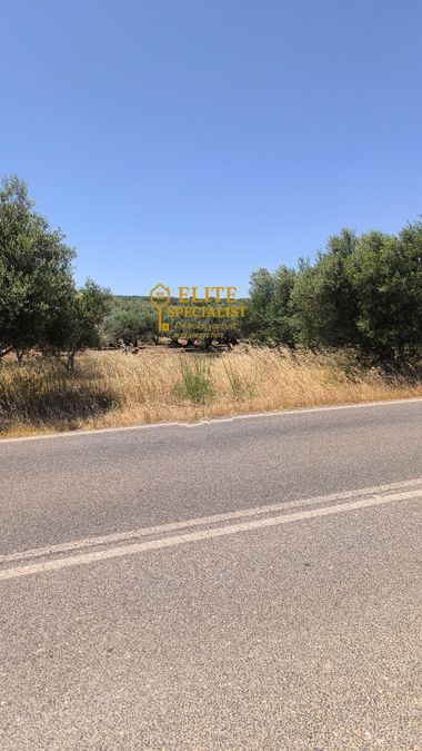 Photo 324924950