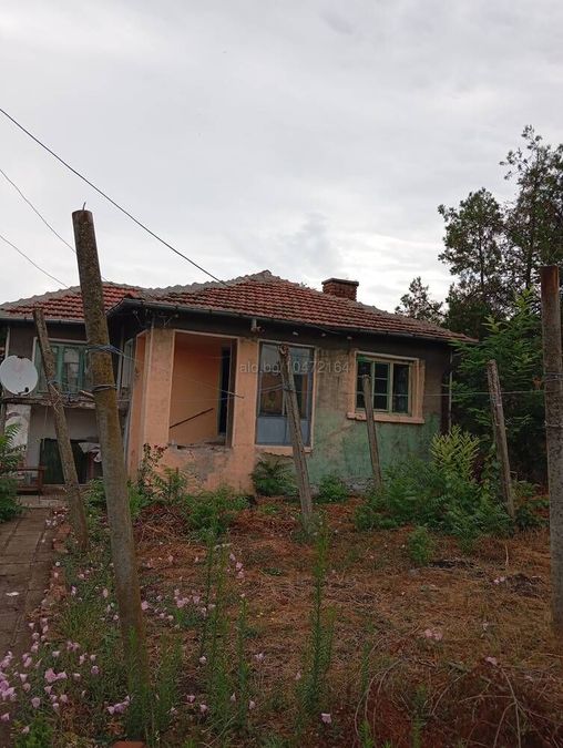 Снимка 324972956