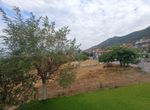 Photo 325044632