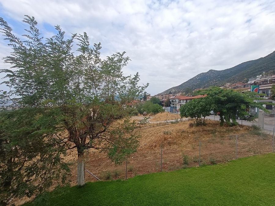Photo 325044632