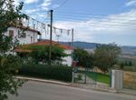 Photo 325044650