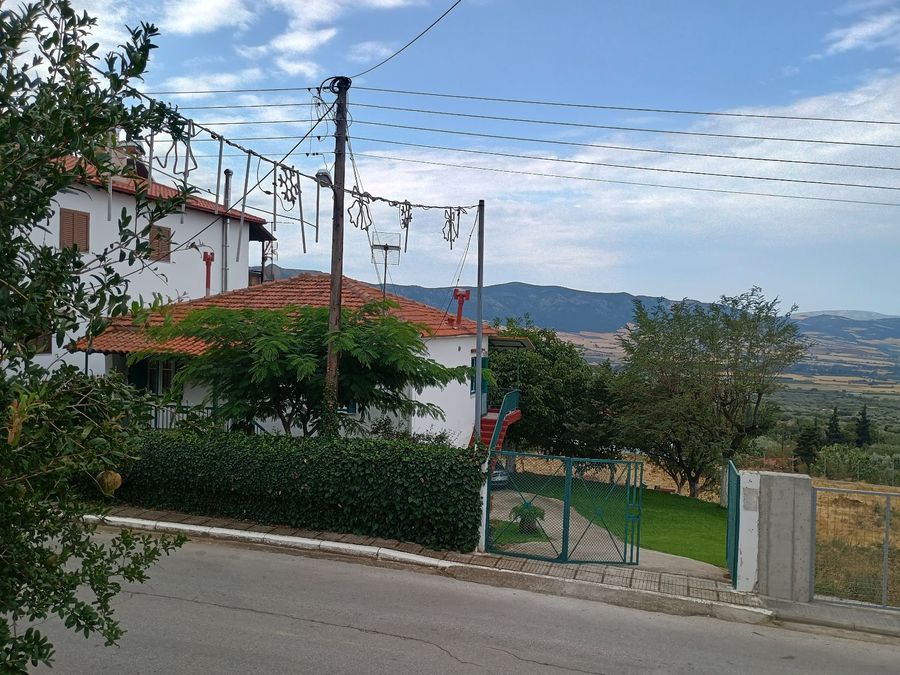 Photo 325044650