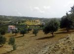 Photo 325076537
