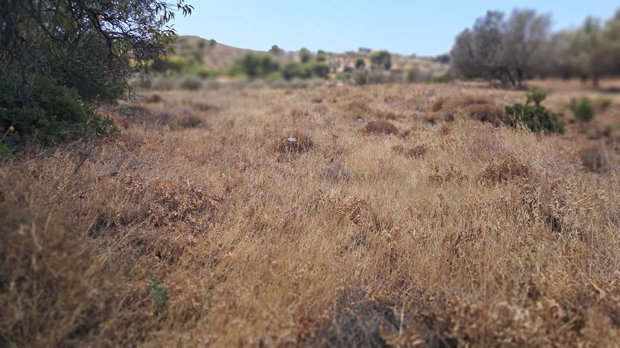 Photo 325149167