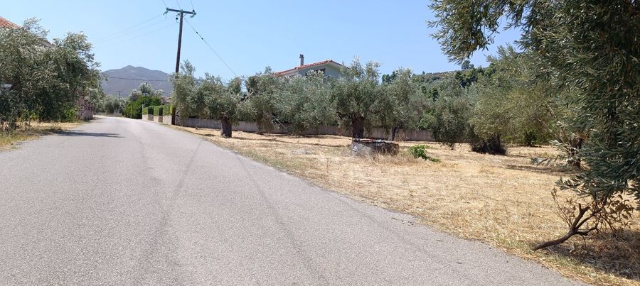 Photo 325212101