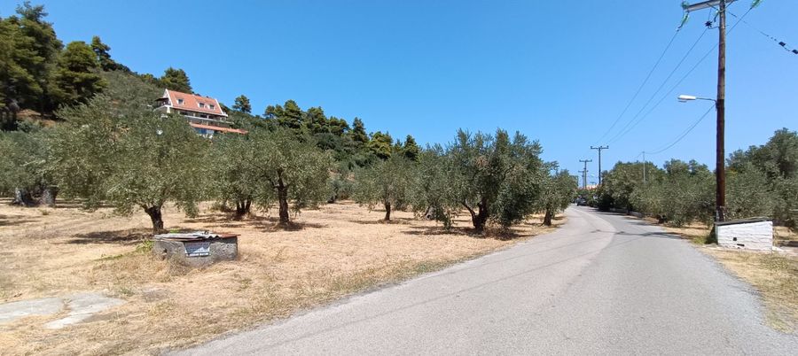 Photo 325212116