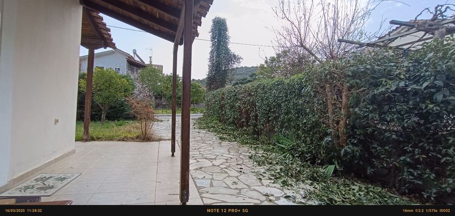 Photo 325319603