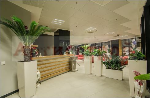 Снимка 325324157