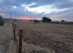 Photo 325327694